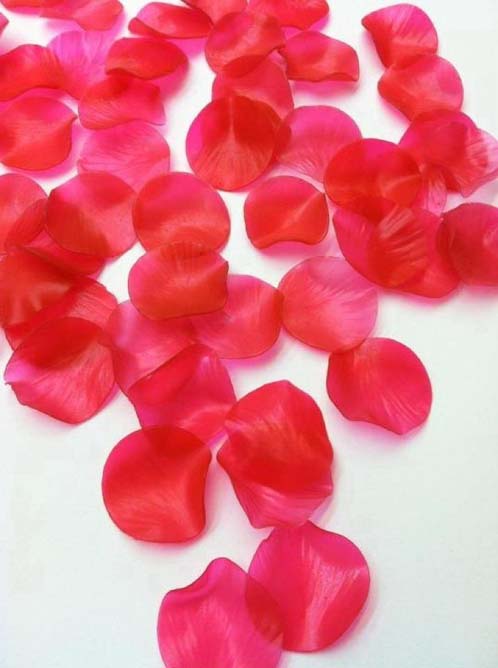 Single Rose Petal