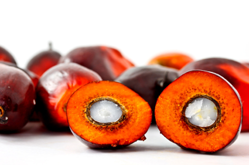 Which Country Consumes the Most Palm Kernel Oil in the World