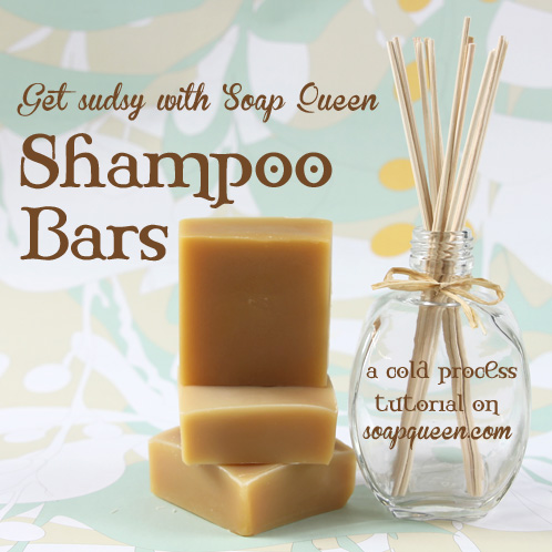 Shampoo Bars - Soap Queen