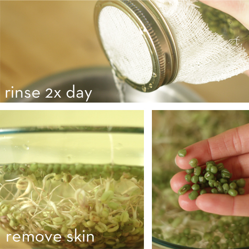 Rinse your sprouts 2-4 times a day. Once they are ready you can easily remove the skins by putting them into a big bowl of water. 