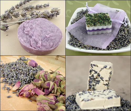 Sunday Night Spotlight: Lavender - Soap Queen