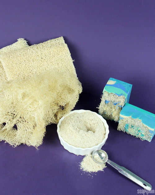 Sunday Night Spotlight: Loofah Sponges - Soap Queen